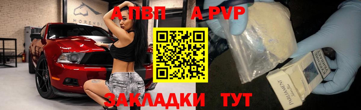 Альфа ПВП крисы CK Великий Новгород