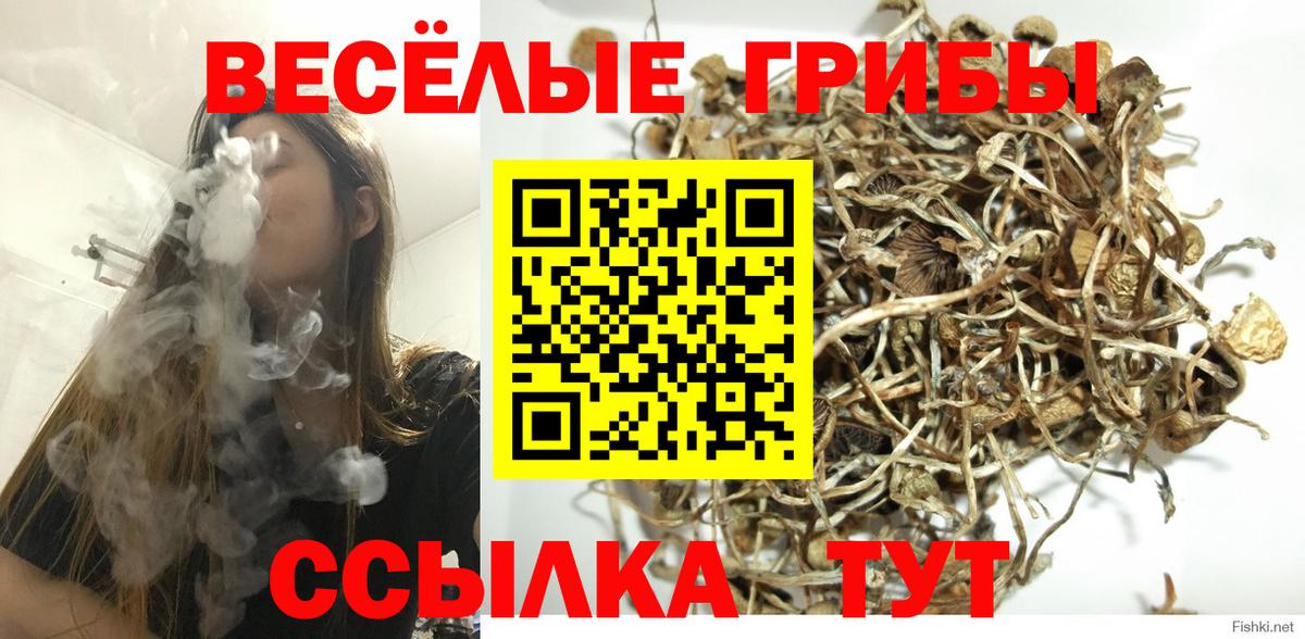 Галлюциногенные грибы Cubensis  Вход с VPN  Великий Новгород  Галлюциногенные грибы прущие грибы 